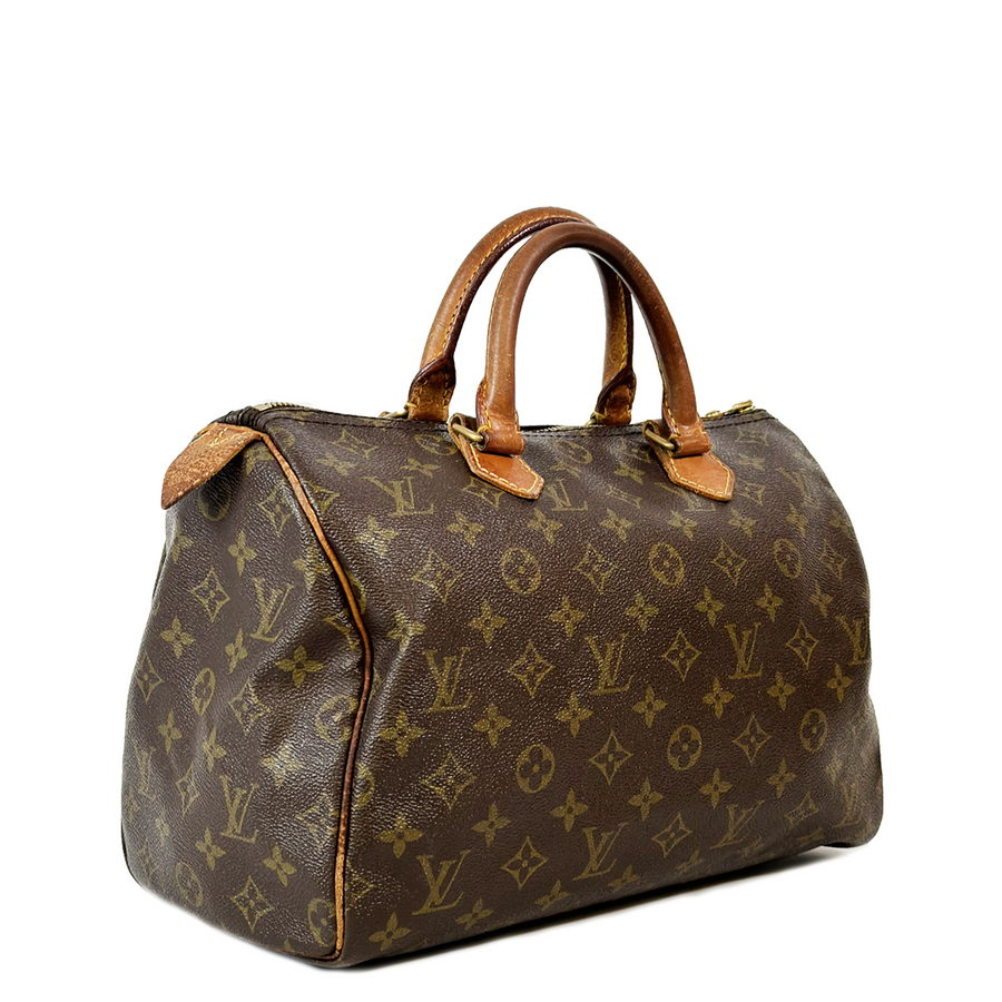 Louis Vuitton Speedy (30)