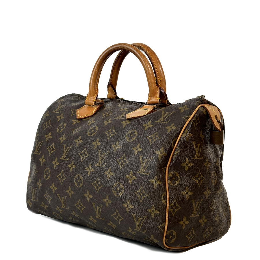 Louis Vuitton Speedy (30)