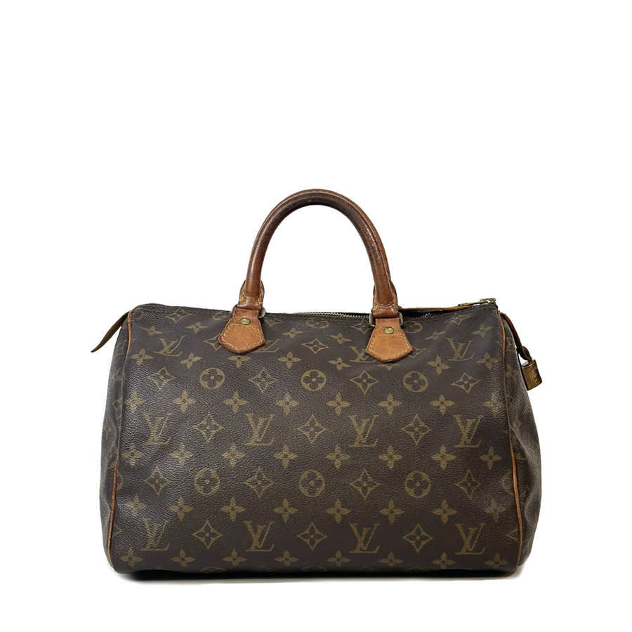 Louis Vuitton Speedy (30)