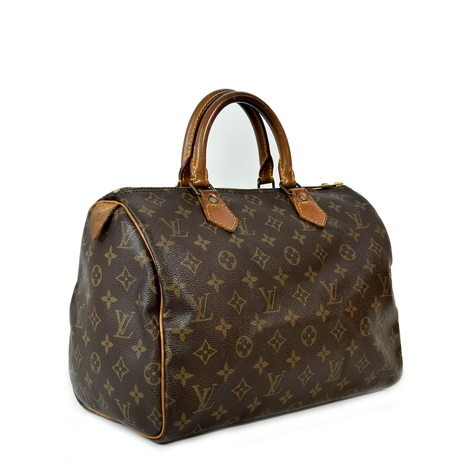 Louis Vuitton Speedy (30)