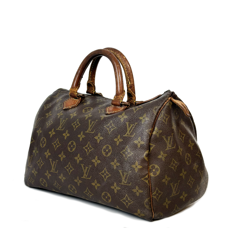 Louis Vuitton Speedy (30)