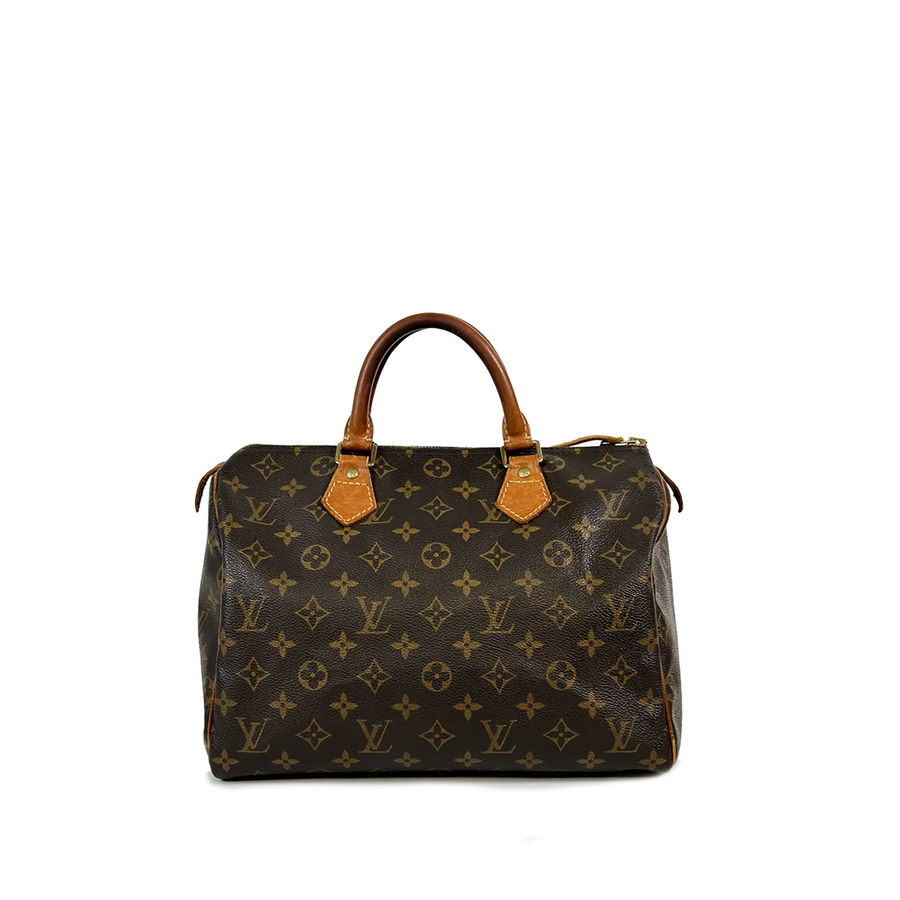 Louis Vuitton Speedy (30)