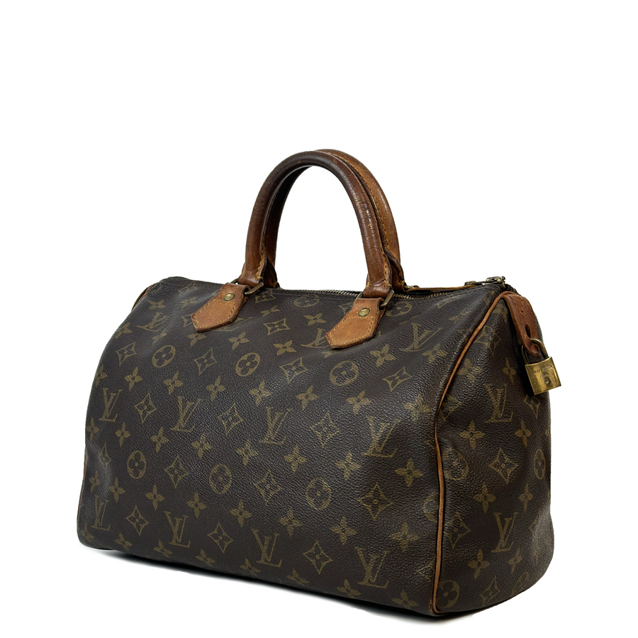 Louis Vuitton Speedy (30)