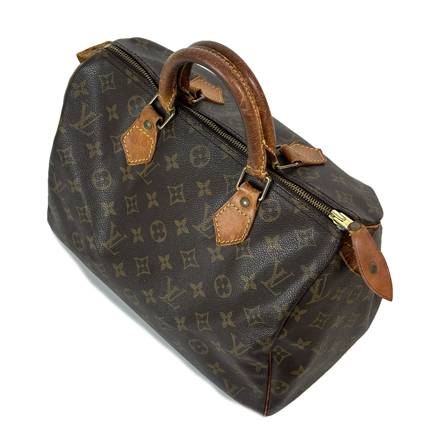 Louis Vuitton Speedy (30)