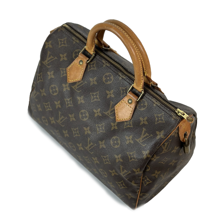 Louis Vuitton Speedy (30)