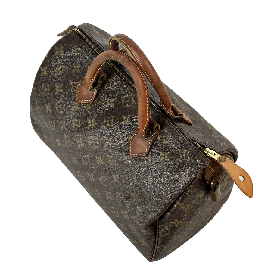 Louis Vuitton Speedy (30)