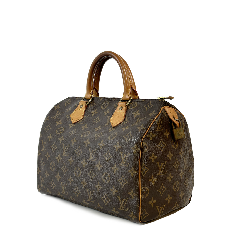 Louis Vuitton Speedy (30)