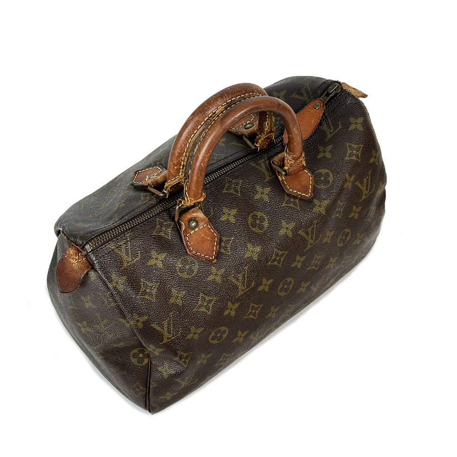 Louis Vuitton Speedy (30)