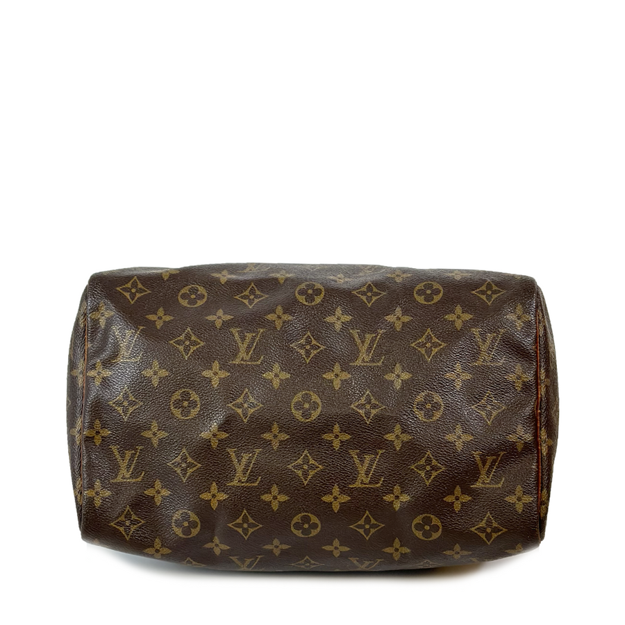 Louis Vuitton Speedy (30)