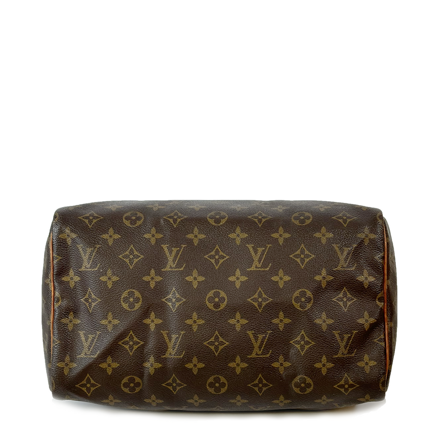 Louis Vuitton Speedy (30)