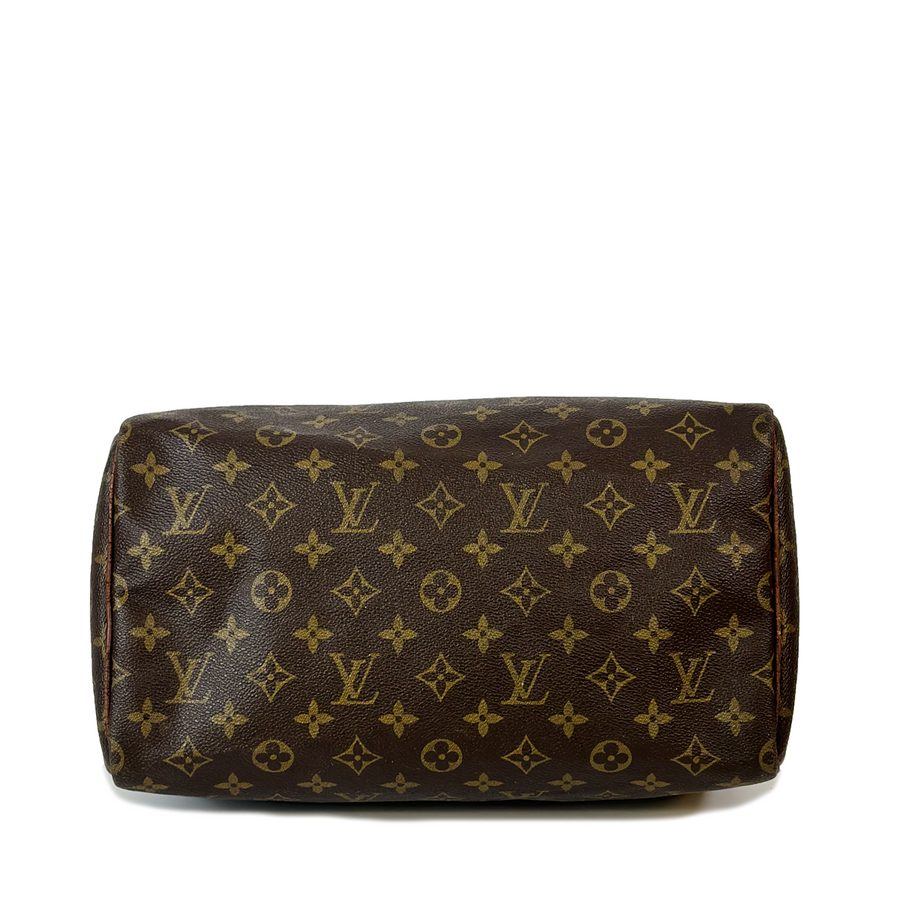 Louis Vuitton Speedy (30)