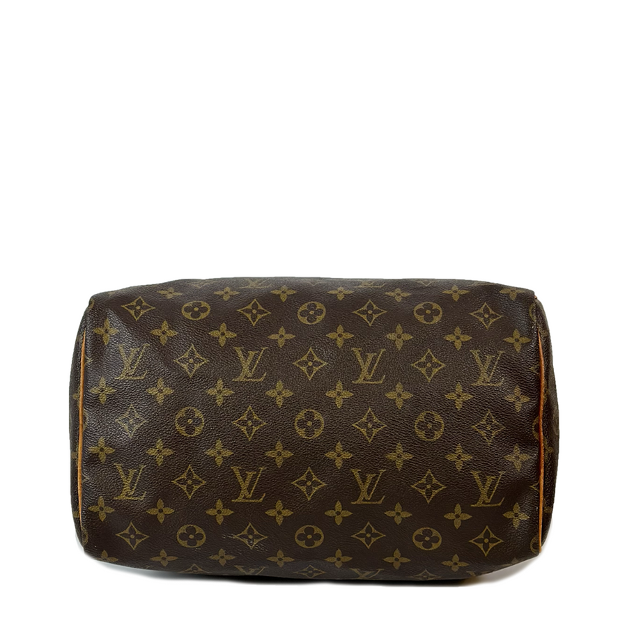 Louis Vuitton Speedy (30)