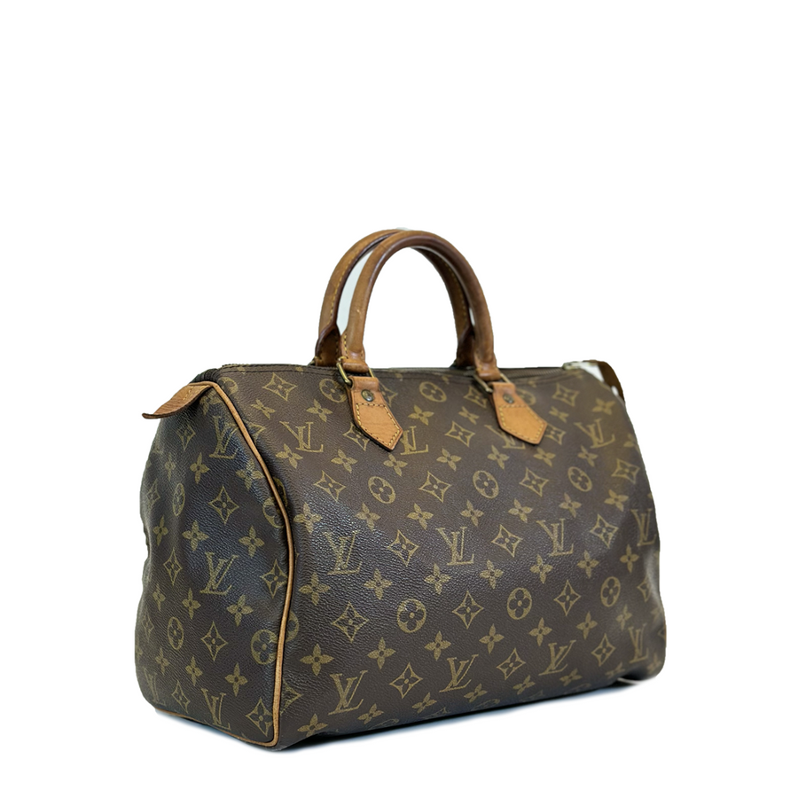 Louis Vuitton Speedy (30)