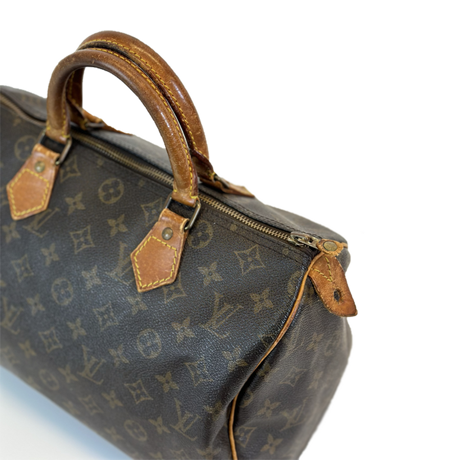 Louis Vuitton Speedy (30)