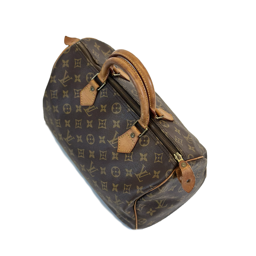 Louis Vuitton Speedy (30)